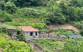 cabaña do rei